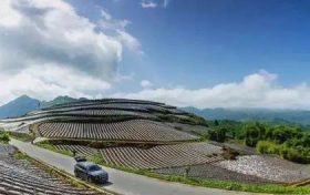 在南鄭，這條“紅色交通線”串起川陜鄉(xiāng)親美好新生活縮略圖