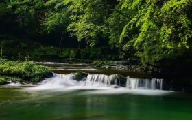 漢中避暑界的“頂流”，晚上還要蓋棉被！縮略圖
