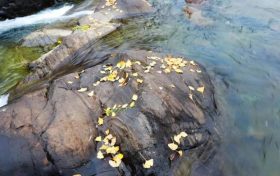 未來(lái)三天陜西降水、吹風(fēng)持續(xù) 清晨易出現(xiàn)大霧縮略圖