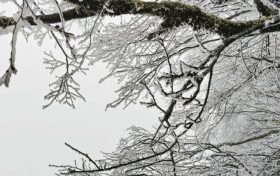 云賞龍頭山入冬初雪！霧凇奇觀太美啦！縮略圖