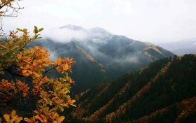 正當(dāng)時，邂逅青木川的初冬縮略圖
