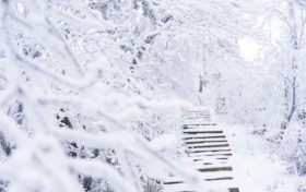 兩次弱雨雪！漢中“春節(jié)”最低氣溫在這天→縮略圖