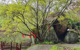 踏青賞春正當(dāng)時(shí)，相約漢江源享受好春光縮略圖