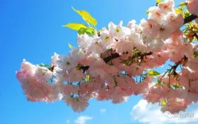 藏不住了！漢臺(tái)鮮為人知的踏青賞春好去處→縮略圖