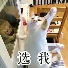 快來隨手拍城固，贏2000元大獎！