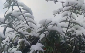 強(qiáng)風(fēng)雨天氣來(lái)襲，24日正式進(jìn)入霜降節(jié)氣縮略圖