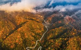 新華社報(bào)道：秦嶺山區(qū)公路成天然畫卷縮略圖