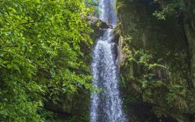 大霧黃色預(yù)警！漢中這些地方能見度低→縮略圖