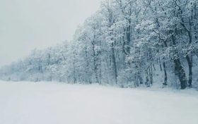陜西最新預(yù)警！氣溫創(chuàng)新低！這些區(qū)域還有雨雪→縮略圖