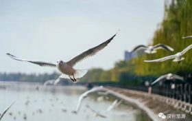 奔赴漢臺，來場暖冬之旅！縮略圖