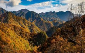 冬日快來(lái)佛坪，體驗(yàn)零霧霾小城大口呼吸的暢快！縮略圖