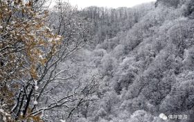 雨雪天氣今晚就到！安全防御指南請(qǐng)收好→縮略圖
