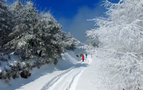 一場浪漫冬雪，讓鎮(zhèn)巴美出圈！縮略圖