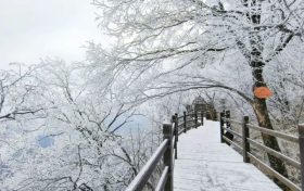 龍頭山今日又下雪啦，每一幀都是“限定浪漫”！縮略圖