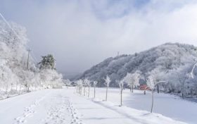 天冷了，吃點(diǎn)啥有助抗寒？縮略圖