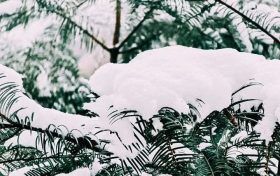 漢中，下雪啦！縮略圖