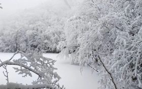 局地積雪可達10cm！冰雪路面如何安全行車？縮略圖