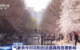 氣象條件對(duì)花粉濃度有哪些影響？花粉季要注意什么？專(zhuān)家解答縮略圖