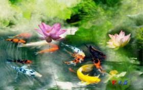 漢臺(tái)荷花盛放！一場(chǎng)夏日的賞花之旅等待您的到來(lái)縮略圖