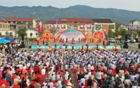 【城固有約】柑桔飄香，又是一年好“豐”景縮略圖