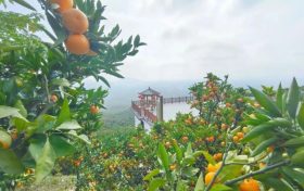 爭(zhēng)做文明游客，不負(fù)城固美景！縮略圖