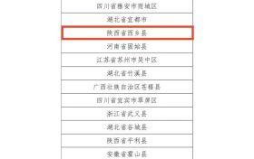 喜報！漢中4縣7茶企上榜！縮略圖