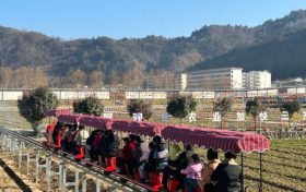 開(kāi)門(mén)紅！全縣首輛！鱘游佛坪“熊貓?zhí)枴毙』疖囌竭\(yùn)行→縮略圖