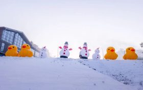 2月1日陜西中南部有雨雪天氣 出行注意安全縮略圖