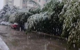 明顯降溫！陜西新一波雨雪即將到來(lái)縮略圖