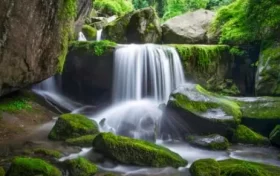 尋夢油菜花海，探秘漢江之源：三天兩晚奇遇之旅縮略圖