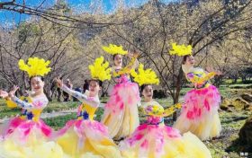 3月22日，王家灣村，茱萸花海踏春游活動來啦！縮略圖