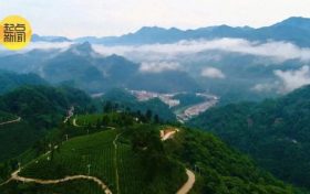 吹風(fēng)、降溫、降水齊上陣 出行注意安全縮略圖