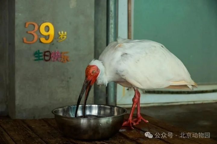 640-43