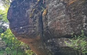 三伏將至，“8做8不做”請(qǐng)收好縮略圖