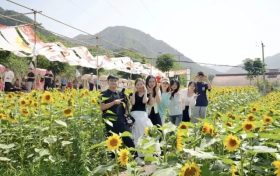 “鄉(xiāng)”聚力量·“創(chuàng)”新未來丨來留壩，給旅行加點“文化”料縮略圖