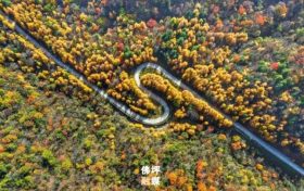 秋滿佛坪，風(fēng)光正好！踏入這抹絢爛秋色里，邂逅只屬于你的心動(dòng)時(shí)刻！縮略圖