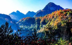 草川子生態(tài)康養(yǎng)旅游度假區(qū)今日恢復(fù)開園，正常接待游客縮略圖