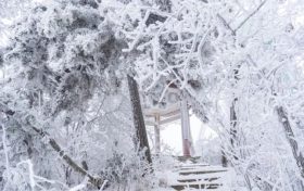 漢江源云海索道恢復(fù)運營公告縮略圖