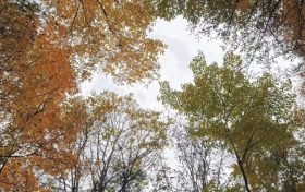 最低-9.7℃！陜西降溫、降雨！漢中→縮略圖
