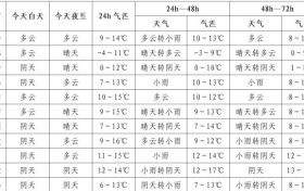 雨夾雪+降雨，陜西新一輪降水來襲！縮略圖