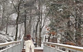 漢中又下雪了，太美了~縮略圖