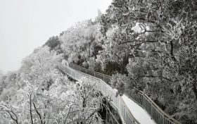 臨時(shí)閉園公告縮略圖