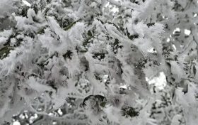 陜西新一輪雨雪降溫要來！晴↗雨雪↘縮略圖