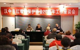 漢中市紅嘴鷗保護協(xié)會2025年工作座談會順利召開縮略圖