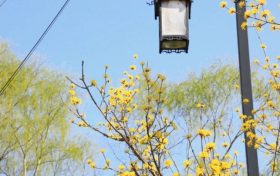已確認(rèn)！多地公布春假時間！縮略圖