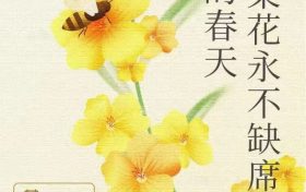 關(guān)于開(kāi)行漢中客運(yùn)樞紐站至皇塘水鄉(xiāng)景區(qū)定制專線的公告縮略圖