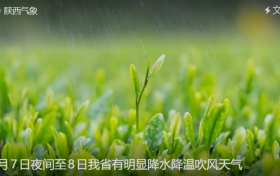 預(yù)計(jì)今明兩天我市有一次降水過程縮略圖