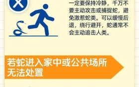 陜西消防提醒您遇蛇怎么辦？縮略圖