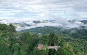 福利來了！來漢中旅游最新優(yōu)惠政策→縮略圖