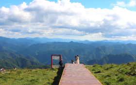 酷暑出逃紫柏山！云海草甸配山野美食，治愈滿分縮略圖